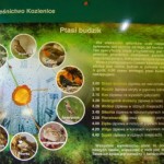 puszcza-kozienicka-rodzinne-atrakcje